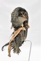 3547 African Tribal - Rare Guere Ceremonial Mask (dan We Wobe) Previously £1400 Other African Antiques photo 4