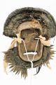 3547 African Tribal - Rare Guere Ceremonial Mask (dan We Wobe) Previously £1400 Other African Antiques photo 8