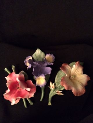 Three Capodimonte Vintage Italian Porcelian Flowers photo