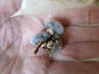 Sweetest Rare Antique Victorian Tiny Fuzzy Mohair Buttons Steel Blue 3 Pc 1/2 