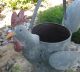 Big Metal Rooster Watering Can/flower Pot Primitive/french Country Chicken Decor Primitives photo 1