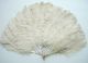 Antique Ladies Fan Mop Feathers In Tufted Silk Lined Presentation Box Victorian photo 1