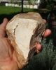 Flintstone Core Resembles Hand Axe Core Similar To Neanderthal Tool Paleolithic Neolithic & Paleolithic photo 3