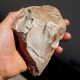 Flintstone Core Resembles Hand Axe Core Similar To Neanderthal Tool Paleolithic Neolithic & Paleolithic photo 4