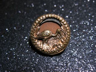 1800 ' S Antique Brass Stork In Reeds Picture Button photo
