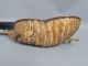 Vintage Early 20c Andean Armadillo Shell Ornate Inlay Charango Lute String photo 9