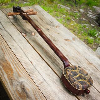 Antique 19thc Chinese Lute Sanxian Rosewood Snake String Music Instrument Guitar photo