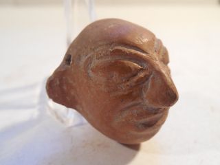 Moche Head Bead Mochica Peru Pre - Columbian Archaic Ancient Artifact Chimu Mayan photo