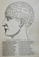 Brain Skull Anatomy Medical Psychology Medicine Phrenology Physiology Human Head Quack Medicine photo 1