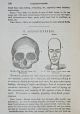 Brain Skull Anatomy Medical Psychology Medicine Phrenology Physiology Human Head Quack Medicine photo 7