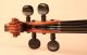 Rare Old Italian Violin Carcassi 1749 Geige Violon Violine Violino Viola 小提琴 String photo 3