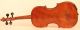 Rare Old Italian Violin Carcassi 1749 Geige Violon Violine Violino Viola 小提琴 String photo 7