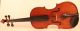 Rare Old Italian Violin Carcassi 1749 Geige Violon Violine Violino Viola 小提琴 String photo 8