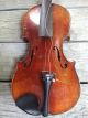Antique Violin - 