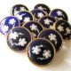 (1) Antique French Royal Blue Enamel Dore Button - Silver Pique Flower Paillons Buttons photo 1