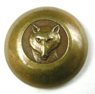 Antique Brass Sporting Button Domed Fox Head Design - 13/16 