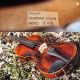 Beautifully Restored Antique Czech Or German Violin.  Build & Tone String photo 3