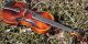 Beautifully Restored Antique Czech Or German Violin.  Build & Tone String photo 4