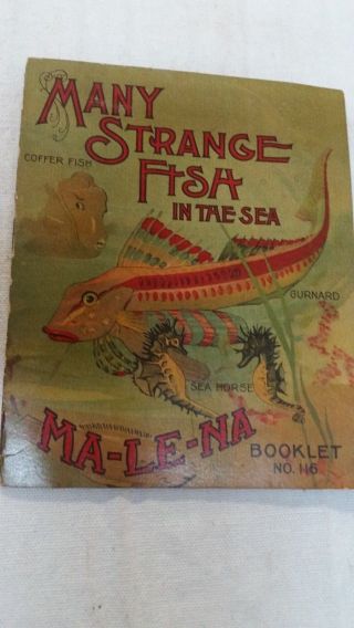 Ma - Le - Na Booklet 116 Many Strange Fish Cure All Vibrant Colored Illustrations photo