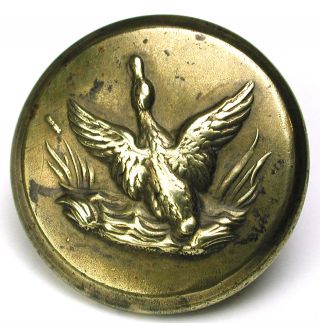Antique Brass Sporting Button Duck Taking Flight From A Marsh - 1 