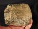 A Jurassic Dinosaur Bone Fossil With Cells From Utah 1000gr The Americas photo 11