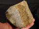 A Jurassic Dinosaur Bone Fossil With Cells From Utah 1000gr The Americas photo 8