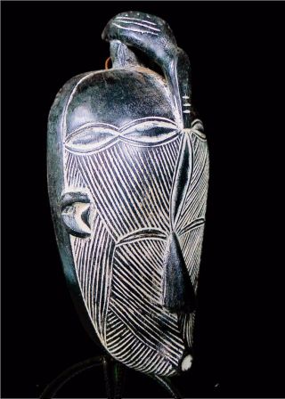 Fine Tribal Songye Mask With Bird - - - D R Congo photo