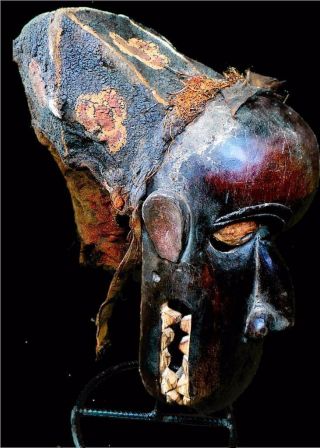 Fine Tribal Bulu Ceremonial Headdress Mask - - - Cameroon photo