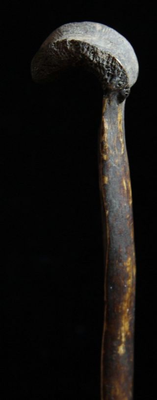 Old Guinea Cassowary Bone Dagger photo