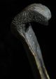 Old Guinea Cassowary Bone Dagger Pacific Islands & Oceania photo 1
