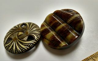 2 Large Antique Celluloid Buttons 1 3/4 In Green And Brown Brown And Cream photo