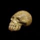 Carved Stone Skull Head Figure Statue Antique Pre Columbian Mayan Olmec Toltec The Americas photo 1