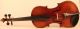 Old Fine Violin Postacchini 1857 Geige Violon Violino Violine Viola ヴァイオリン 小提琴 String photo 2
