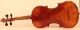 Old Fine Violin Postacchini 1857 Geige Violon Violino Violine Viola ヴァイオリン 小提琴 String photo 5