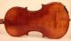 Old Fine Violin Postacchini 1857 Geige Violon Violino Violine Viola ヴァイオリン 小提琴 String photo 6