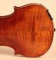 Old Fine Violin Postacchini 1857 Geige Violon Violino Violine Viola ヴァイオリン 小提琴 String photo 7