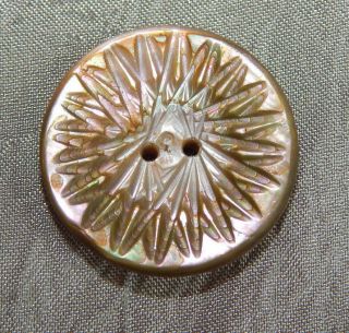 Antique Vintage Carved Button Mother Of Pearl Abalone Shell 1085b photo