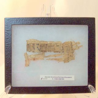 Egyptian Papyrus Fragment 4” X 2” With Glass Front photo