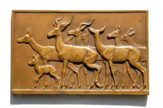 France,  Art Medal: Antelope,  By Rene Thenot,  C1930.  Wildlife.  Art Deco. photo
