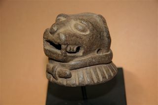 Pre Columbian Mayan Jaguar Predator Head Ceramic Helmet Wtl Lab Testdoc Archaic photo