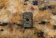 Wow Ancient Egyptian Seal C.  1500 Bc | Scarab Beetle Amulet Artifacts Beads Egyptian photo 3