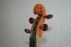 Old Full - Size (4/4) Concerto Violin String photo 5