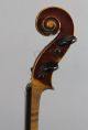 Antique Early - 20thc Rudolph Wurlitzer,  Figured Maple 4/4 Violin,  Nr String photo 10