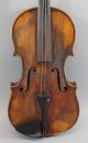 Antique Early - 20thc Rudolph Wurlitzer,  Figured Maple 4/4 Violin,  Nr String photo 2