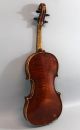 Antique Early - 20thc Rudolph Wurlitzer,  Figured Maple 4/4 Violin,  Nr String photo 6