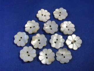Twelve Hand Cut & Drilled Mother - Of - Pearl Flower Buttons photo