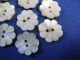 Twelve Hand Cut & Drilled Mother - Of - Pearl Flower Buttons Buttons photo 1