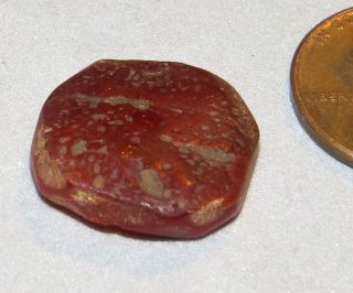 Ancient Egyptian Baltic Amber Bead 16mm Rare 2500yo photo