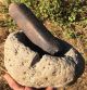 Bowl,  Stone: Mortar & Pestle,  Ancient; Catalina Island,  California Native American photo 7