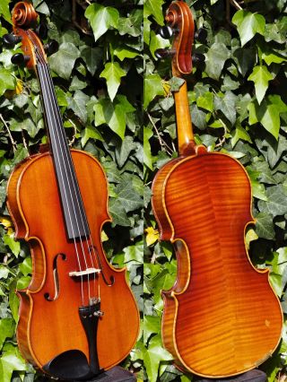 Antique Czech Violin By Anton Volkmann,  Schonbach.  Build & Tone photo